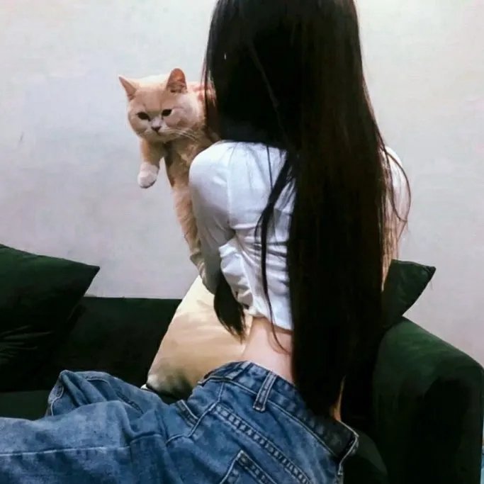 孤独的士兵